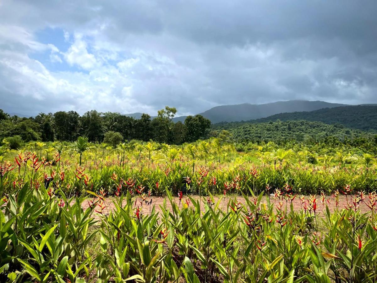 فندق The Postcard Hideaway, Netravali Wildlife Sanctuary, Goa Vichondrem المظهر الخارجي الصورة