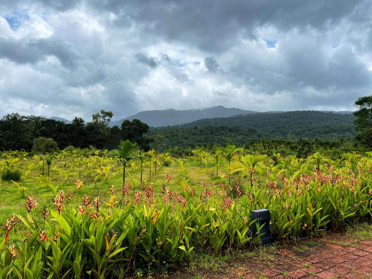 فندق The Postcard Hideaway, Netravali Wildlife Sanctuary, Goa Vichondrem المظهر الخارجي الصورة