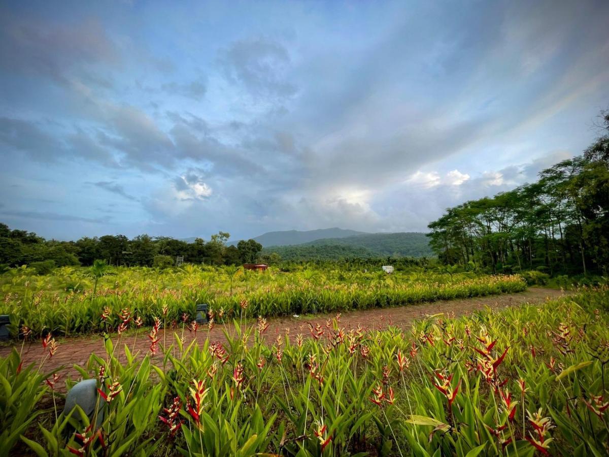 فندق The Postcard Hideaway, Netravali Wildlife Sanctuary, Goa Vichondrem المظهر الخارجي الصورة