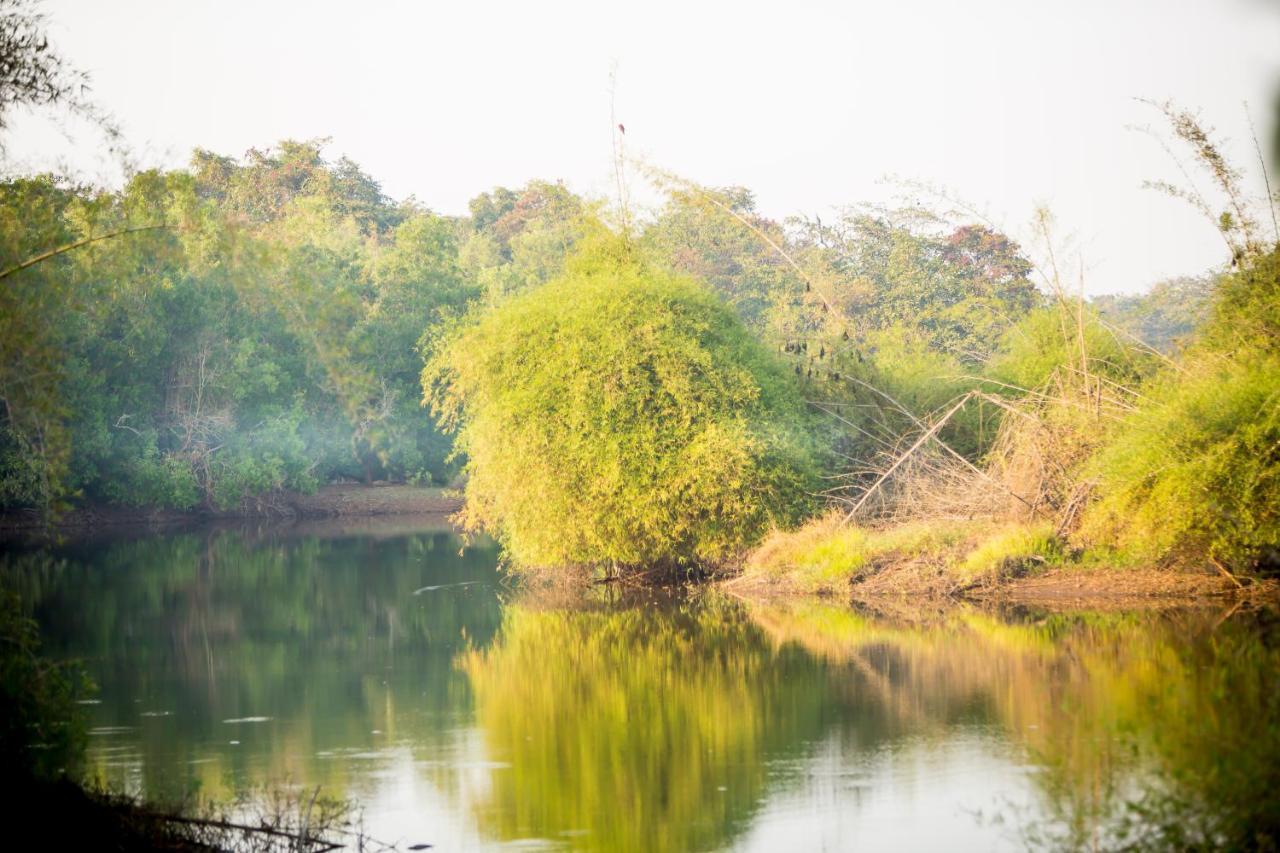 فندق The Postcard Hideaway, Netravali Wildlife Sanctuary, Goa Vichondrem المظهر الخارجي الصورة