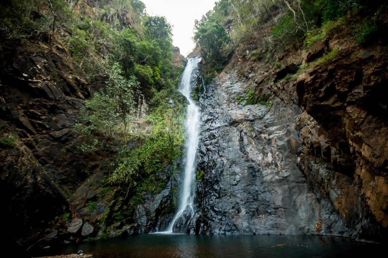 فندق The Postcard Hideaway, Netravali Wildlife Sanctuary, Goa Vichondrem المظهر الخارجي الصورة