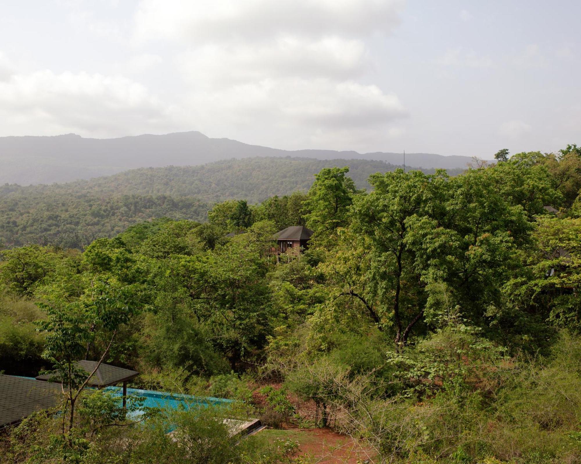 فندق The Postcard Hideaway, Netravali Wildlife Sanctuary, Goa Vichondrem المظهر الخارجي الصورة