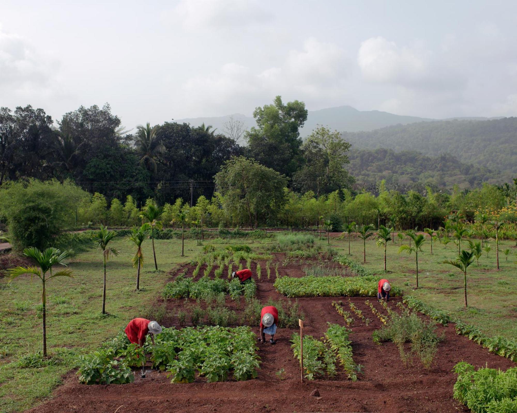 فندق The Postcard Hideaway, Netravali Wildlife Sanctuary, Goa Vichondrem المظهر الخارجي الصورة