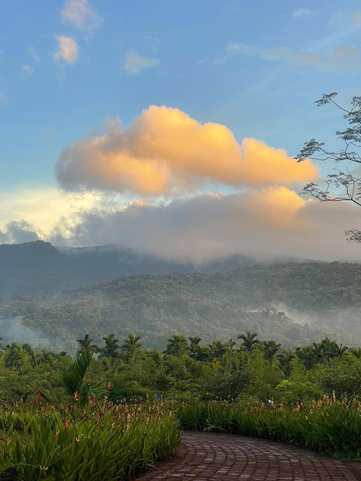 فندق The Postcard Hideaway, Netravali Wildlife Sanctuary, Goa Vichondrem المظهر الخارجي الصورة