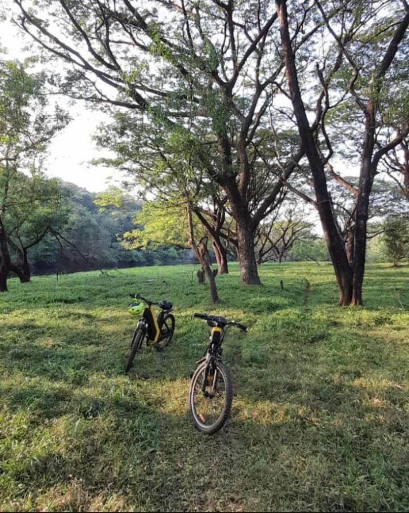 فندق The Postcard Hideaway, Netravali Wildlife Sanctuary, Goa Vichondrem المظهر الخارجي الصورة